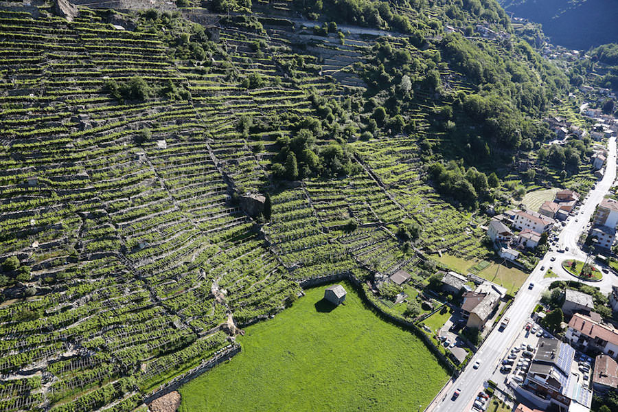 Vigneti-di-Pont-Saint-Martin-foto-Enrico-Romanzi-8495-1 Vigneti-di-Pont-Saint-Martin-foto-Enrico-Romanzi-8495-1