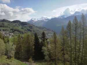 ritiro yoga torgnon- La Terra di Mezzo - Formazione Massaggi Aosta