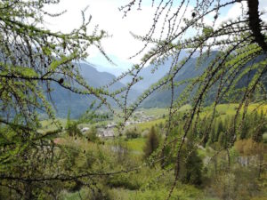 ritiro yoga torno natura - La Terra di Mezzo - Formazione Massaggi Aosta